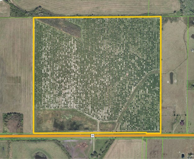 okeechobee-100-acre-grove-parcel-map-maury-l-carter-associates-inc